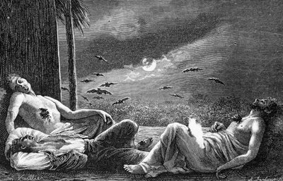 Vampire Bats feeding off sleeping humans, c.1890 by Gaston Vuillier